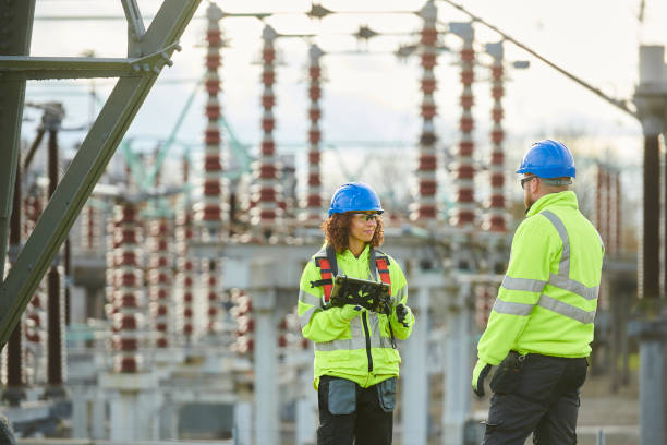 Best Generator Installation Services  in Rice Lake, MN