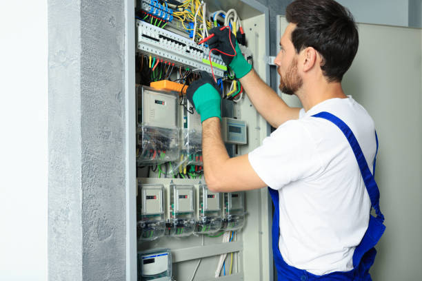 Best Electric Panel Repair  in Rice Lake, MN