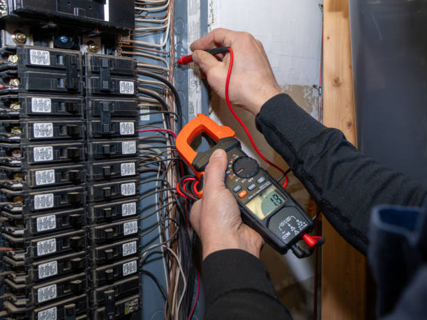 Best Electrical Troubleshooting Services  in Rice Lake, MN